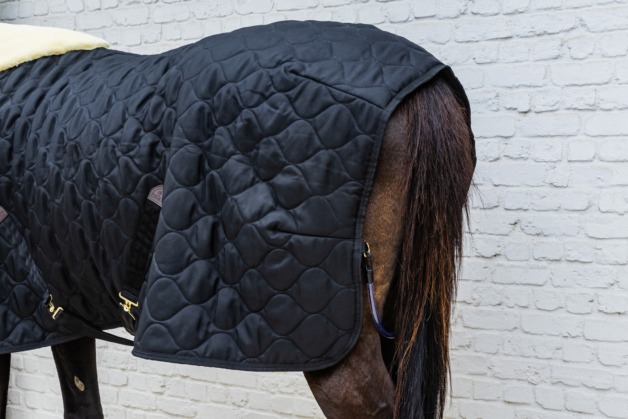 KENTUCKY® HORSEWEAR Stalldecke Comfort 200 g, schwarz Rückansicht der schwarzen Stalldecke Comfort am Pferd mit wellenförmiger Steppung und Schweifriemen.