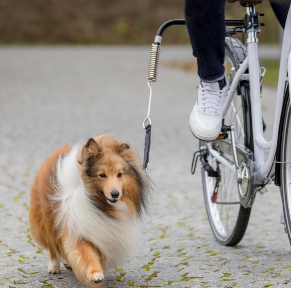 TRIXIE Biker-Set für kleine und mittelgroße Hunde