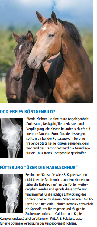 HAVENS Ferto-LAC3 Stuten-Spezialfutter BigBox