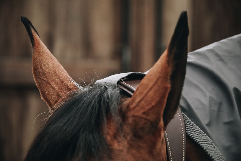 KENTUCKY® HORSEWEAR Regendecke Hurricane