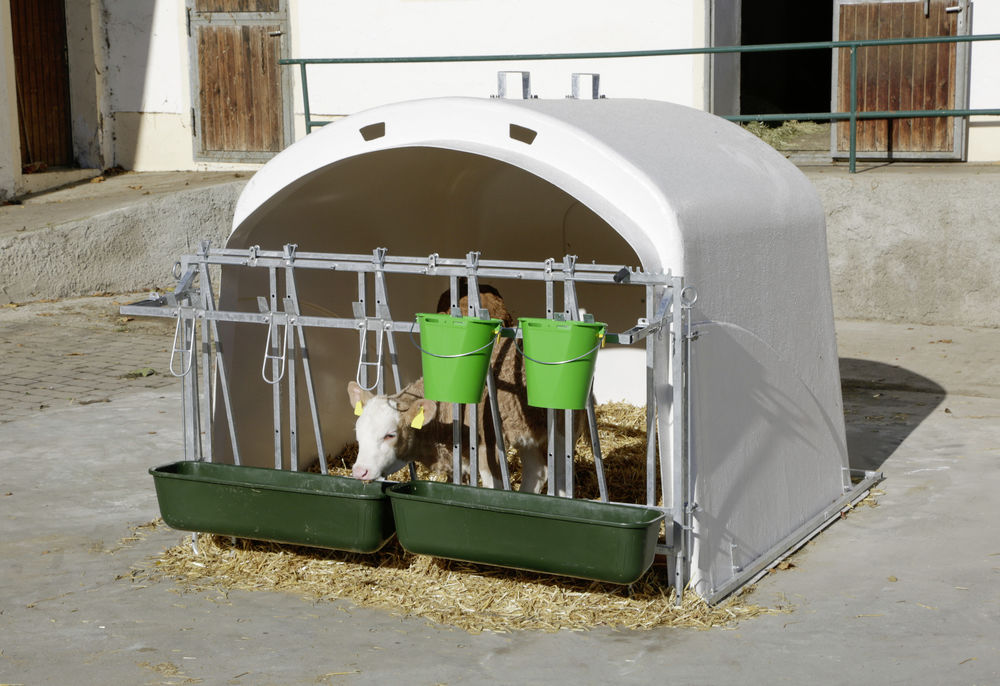 Kälberiglu Premium XL