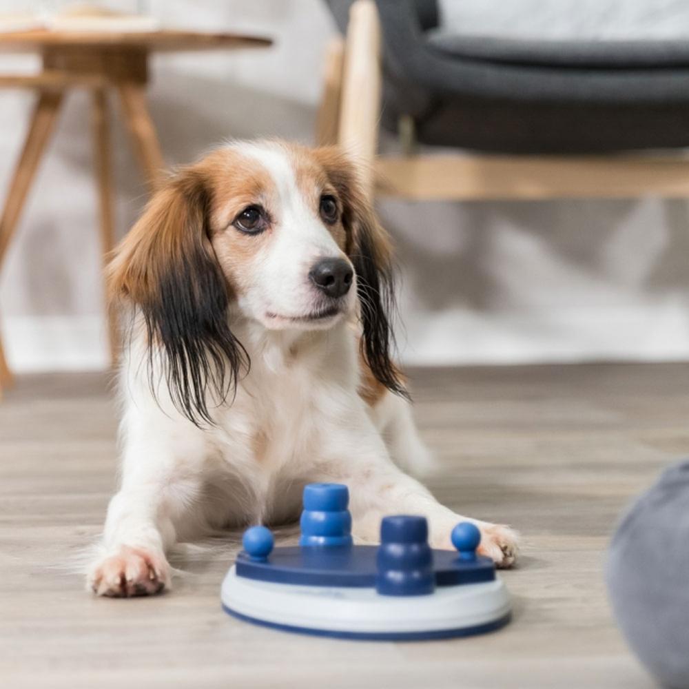 TRIXIE Dog Activity Strategiespiel Push Away