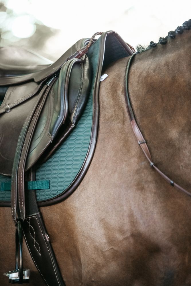 KENTUCKY® HORSEWEAR Schabracke Color Edition Leder Springen, olive-grün