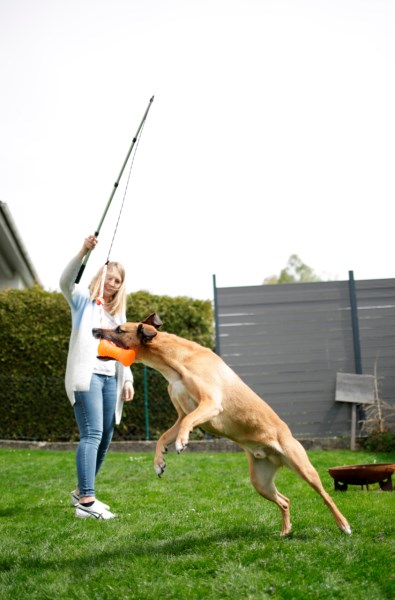 KERBL Reizangel für Hunde, Teleskop ca. 47-130cm