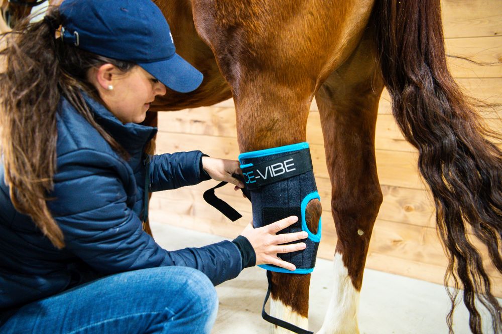 HORSEWARE® Ice-Vibe® Hock Wrap (Sprunggelenk)