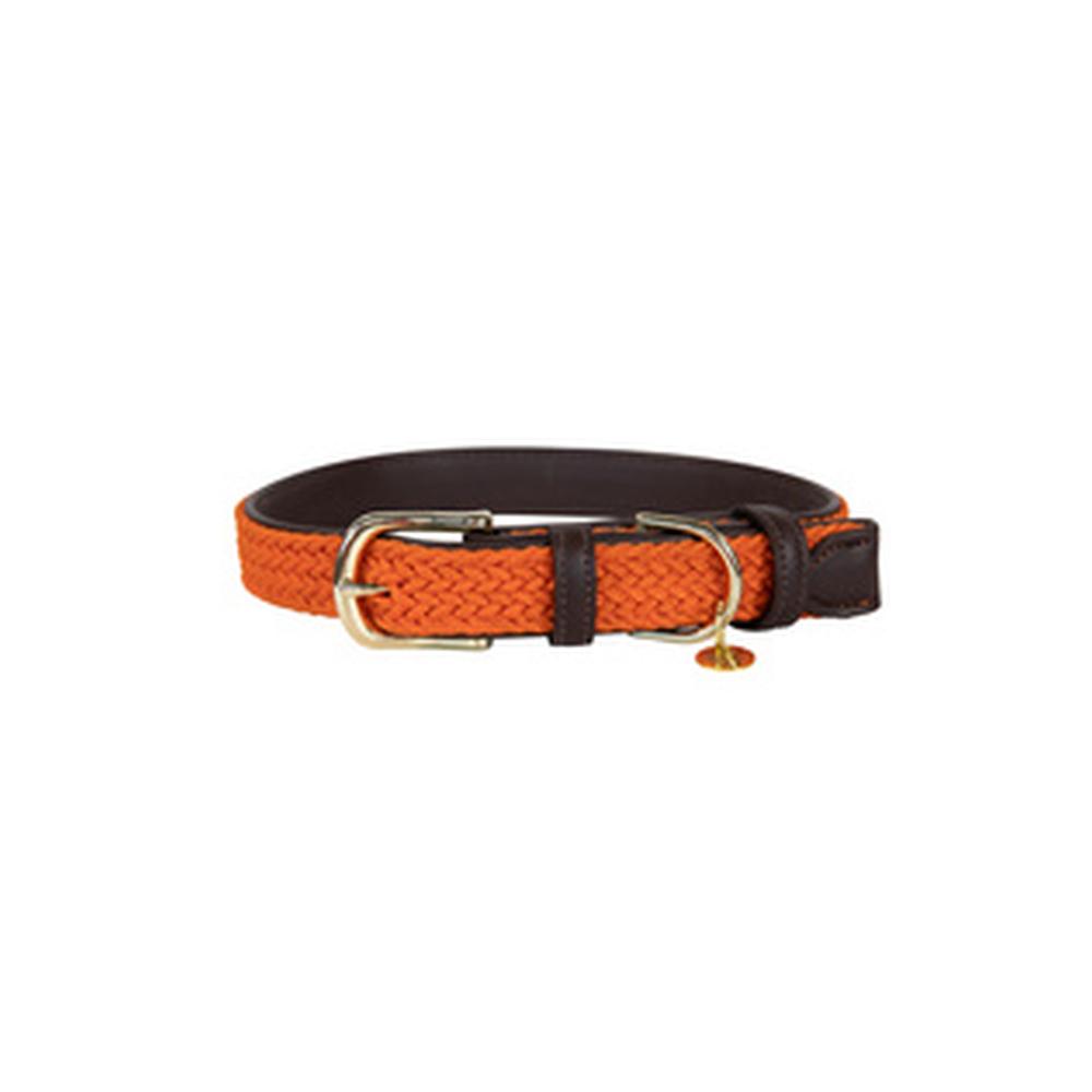 KENTUCKY® DOGWEAR Hundehalsband geflochtenes Nylon, orange