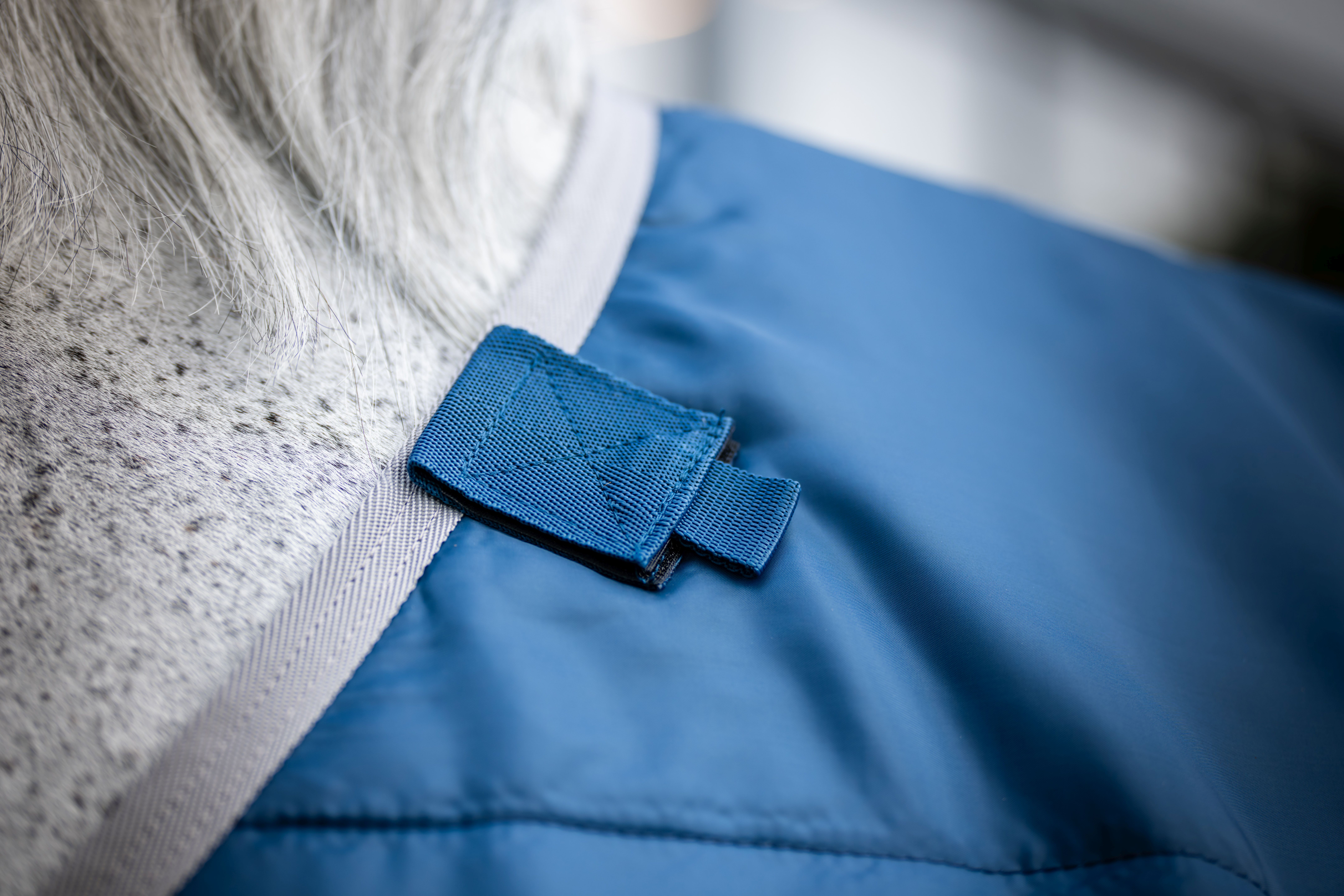 HORSEWARE® Ionic® Therapy Liner, 50 g, imperial blue/silver