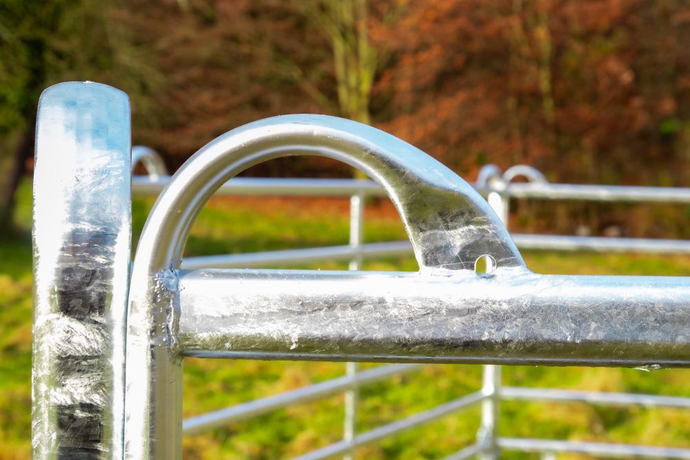 STALLBEDARF24 Weidepanel mit Tor - Höhe: 2,20 m