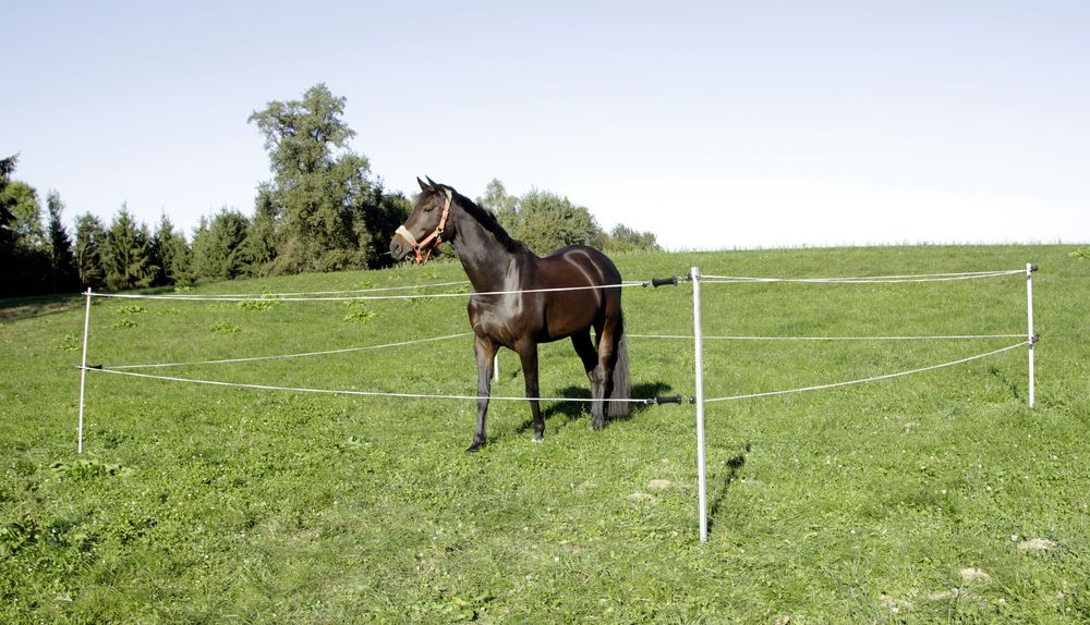 AKO Turnier-/ Paddock Set 7 x 7 m