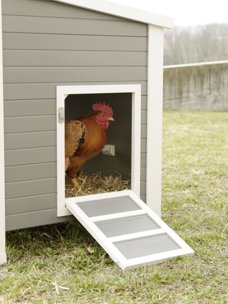 KERBL ECO-Kunststoffstall Barney
