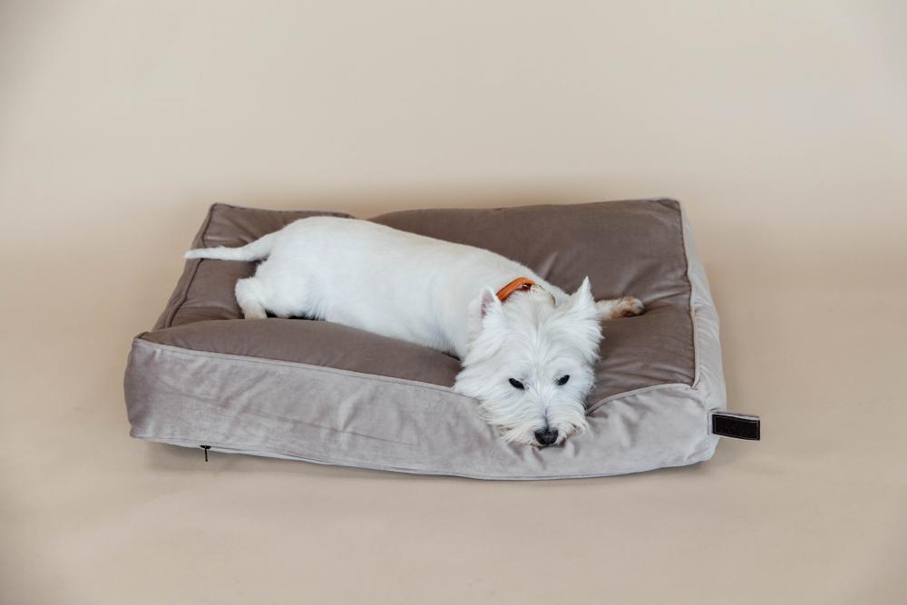 KENTUCKY® DOGWEAR Hundekissen aus Samt, beige