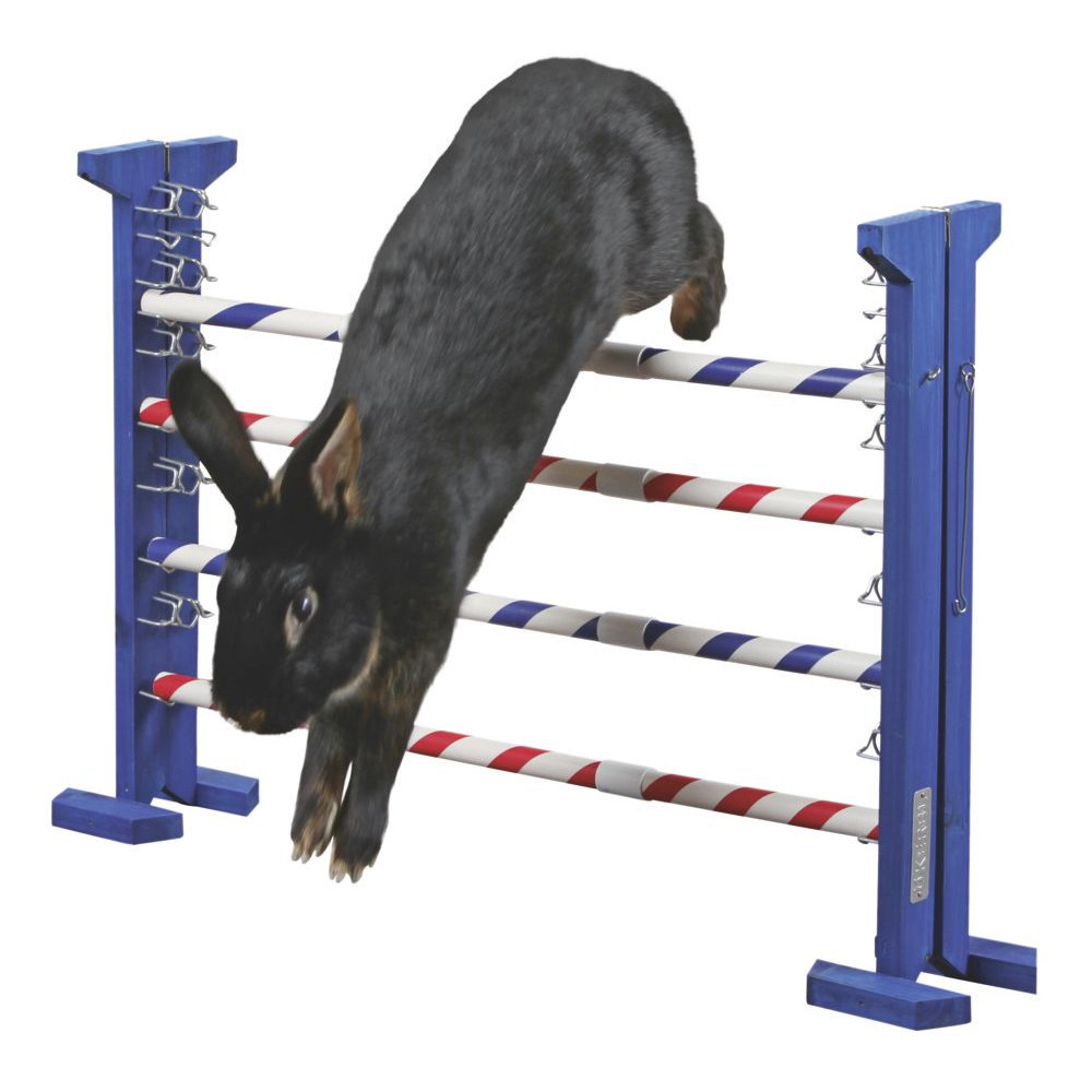 Agility Kombisprung
