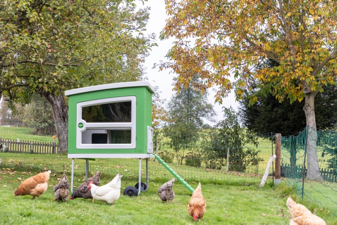 KERBL Mobile Coop aus Kunststoff