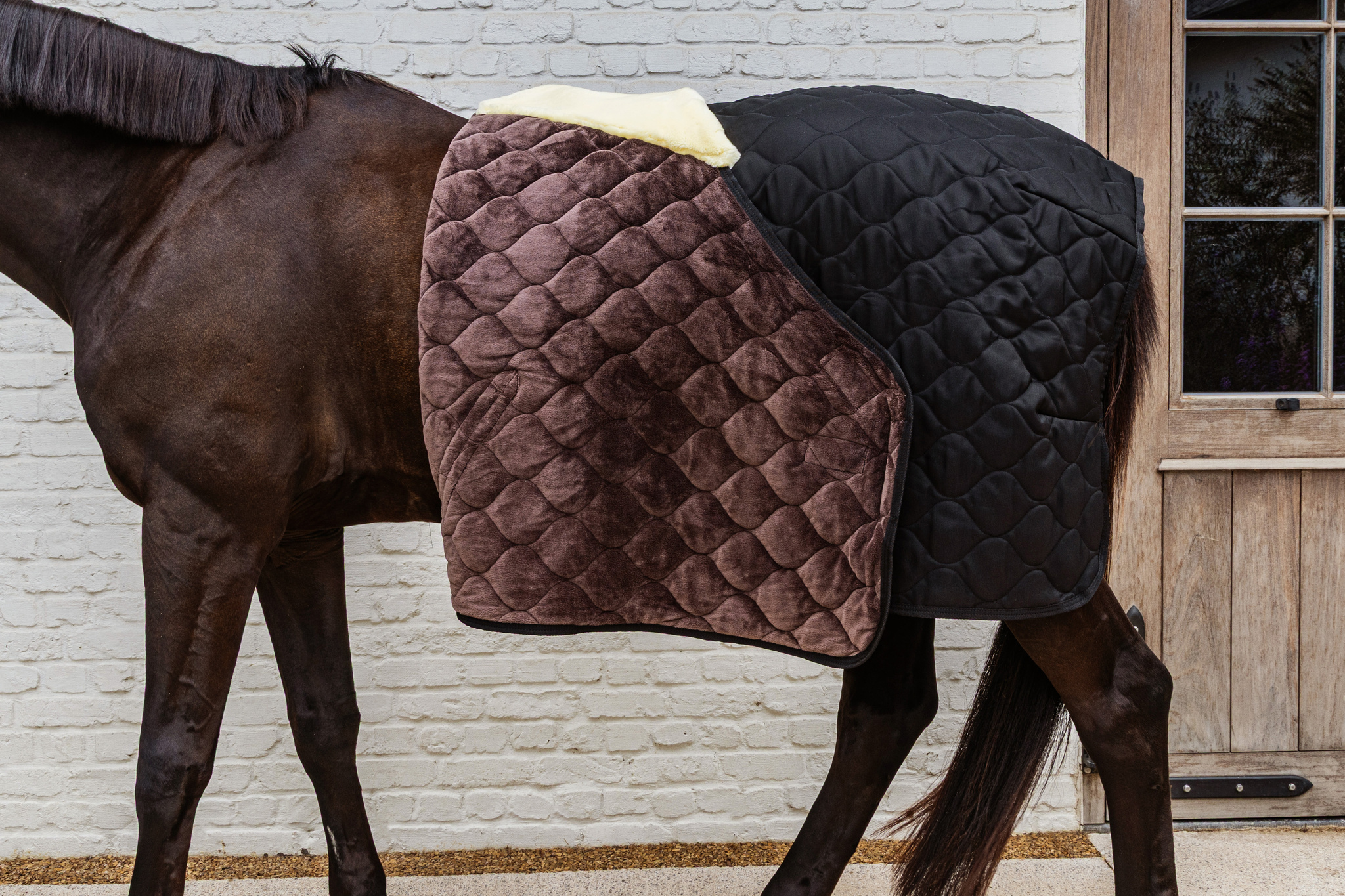 KENTUCKY® HORSEWEAR Stalldecke Comfort 200 g, schwarz Schwarze Stalldecke Comfort auf einem Pferd, aufgeschlagen mit braunem Samtfutter und cremefarbenem Widerristpolster.