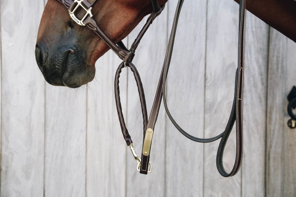 KENTUCKY® HORSEWEAR Führleine