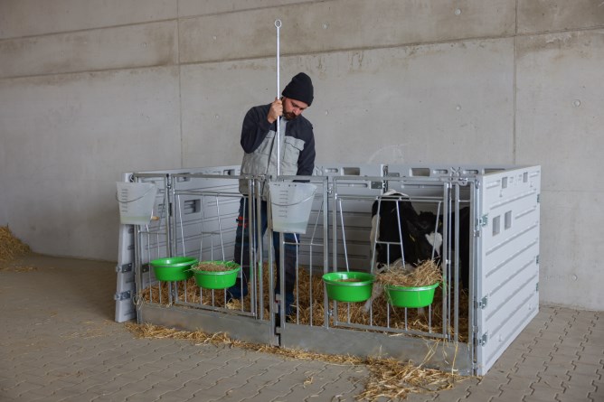 KERBL Modulare Kälberbox Erweiterung Einzelbucht wandständig