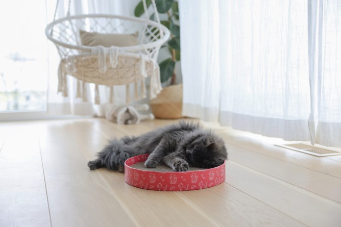 KERBL Katzenkratzbett Circle aus Pappe, pink, 34cm