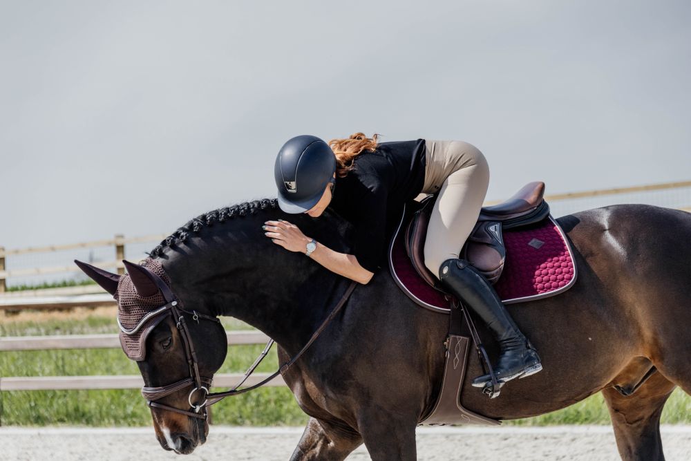 KENTUCKY® HORSEWEAR Stollengurt, braun