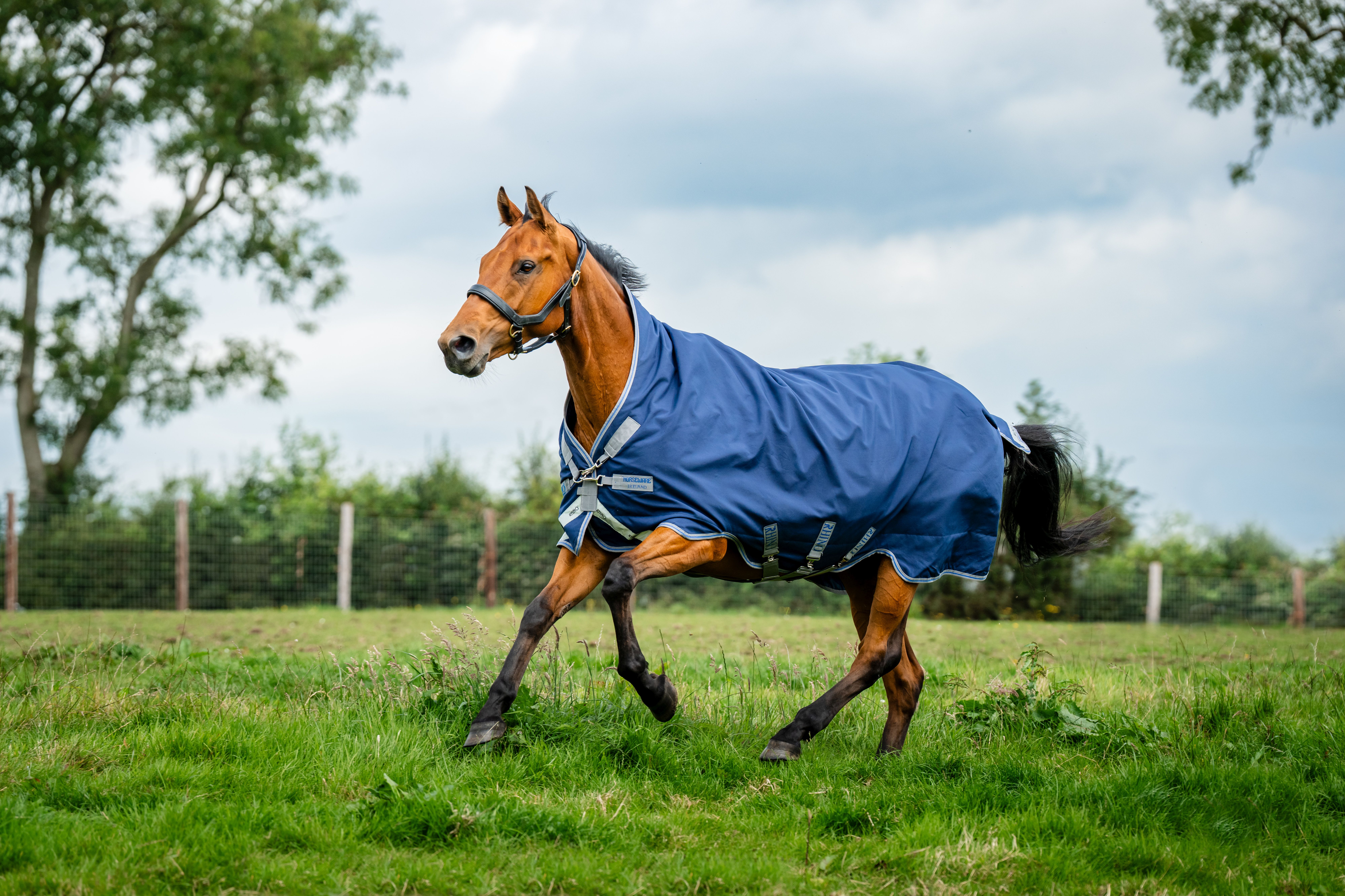 HORSEWARE® Rhino® Wug Turnout, 0g, navy/titanium 