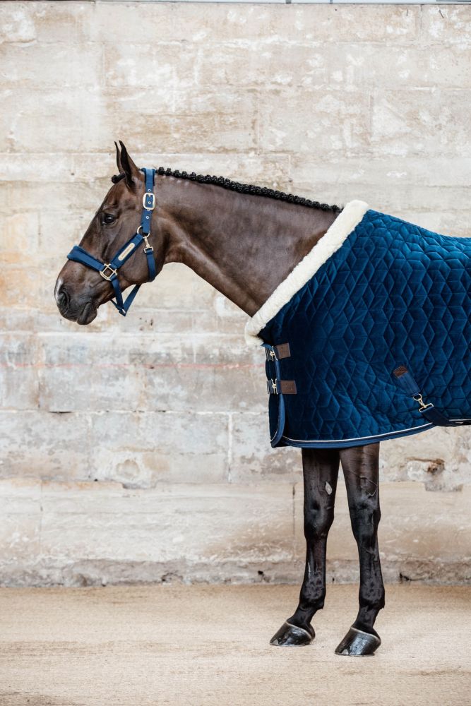 KENTUCKY® HORSEWEAR Velvet Halfter, marine