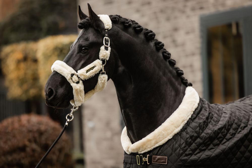 KENTUCKY® HORSEWEAR Lammfell Transport-Halfter, natur