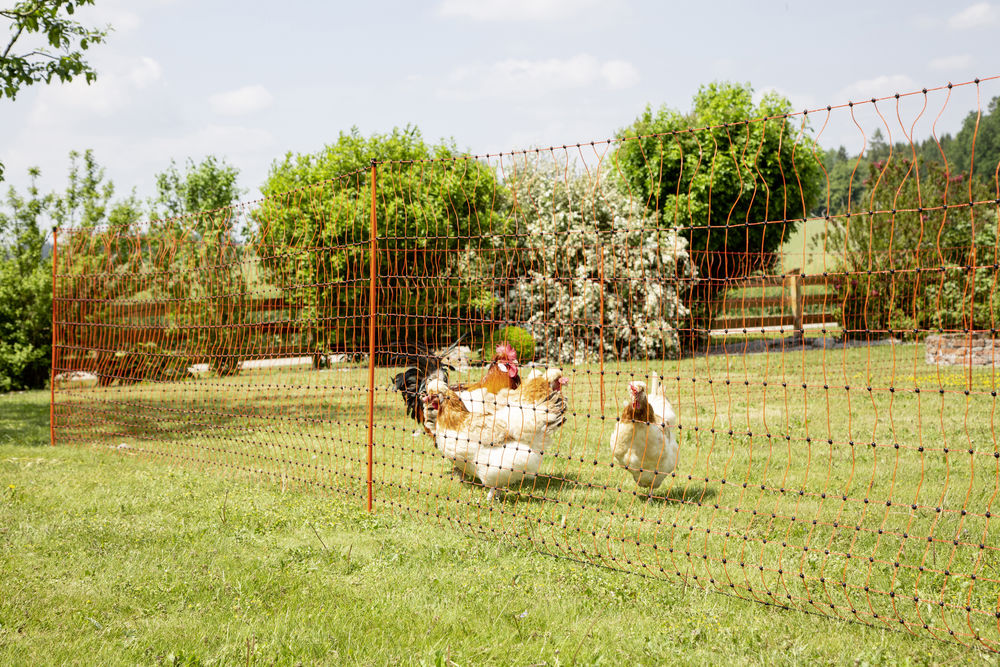 AKO Geflügelnetz PoultryNet, orange, Höhe: 106 cm elektrifizierbar