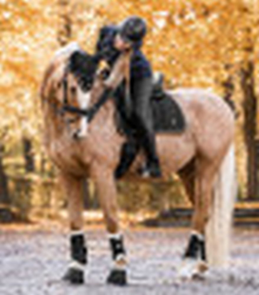 WALDHAUSEN Dressurgamasche Comfort, schwarz/natur