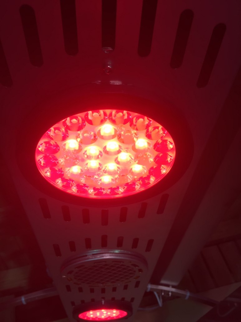Nahaufnahme des roten Therapie-Farblichts am SUMMERWIND Pferdesolarium mit eingeschalteten LED-Lampen.