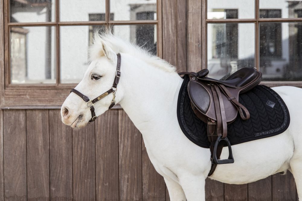 KENTUCKY® HORSEWEAR Pony-Schabracke Glitter Stone Springen, schwarz