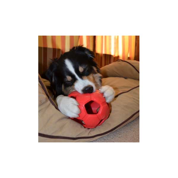 PETSPORT Turbo Kick Soccer Ball - 10 cm 