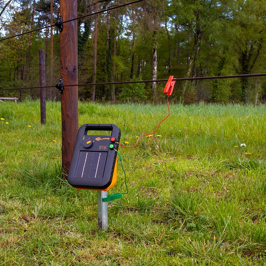 GALLAGHER Gallagher S16 Solar-Weidezaungerät mit Batterie 