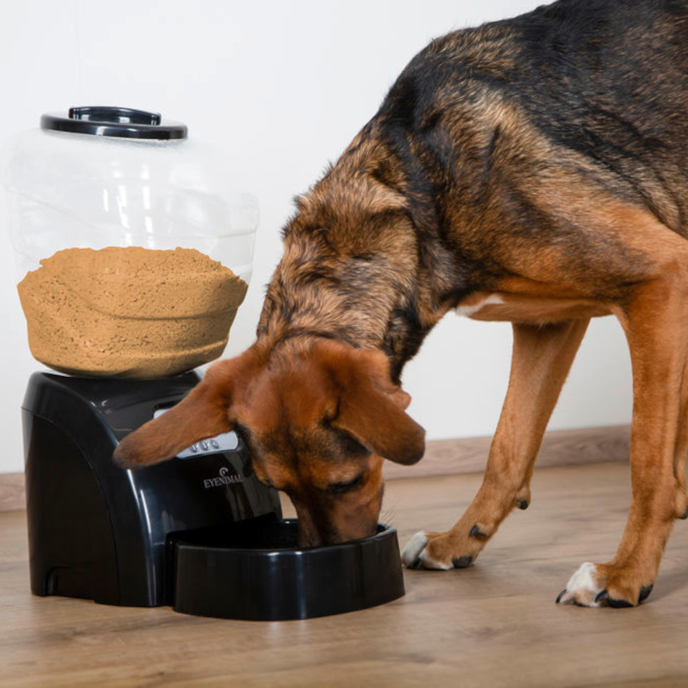 Electronic Pet Feeder Trockenfutter-Automat