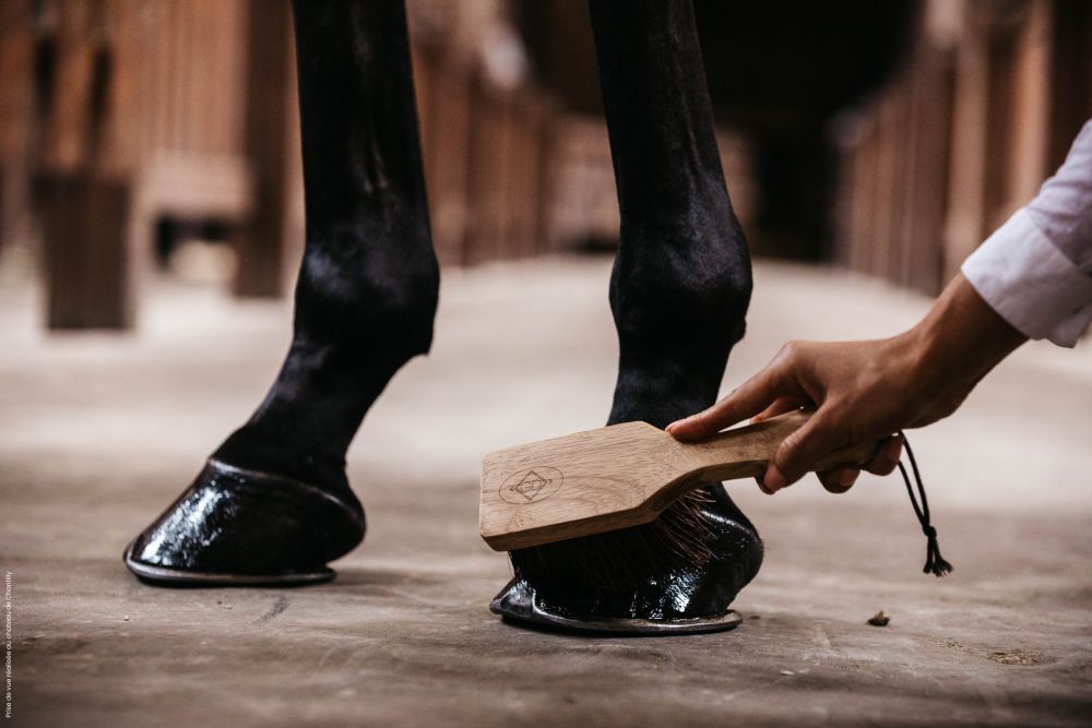 KENTUCKY® GROOMING DELUXE Hoof Brush