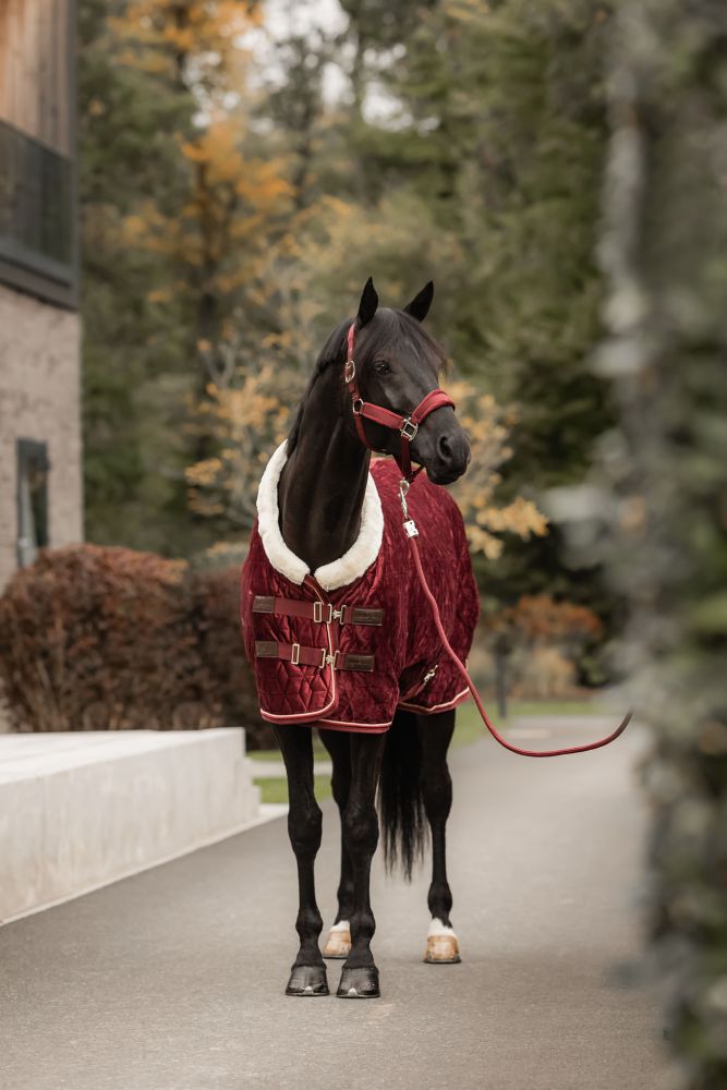 KENTUCKY® HORSEWEAR Turnierdecke Velvet , bordeaux