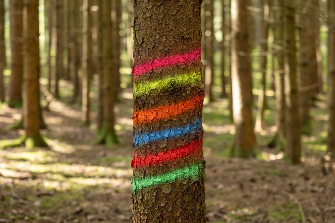 KERBL Markierungsspray Forst Neon