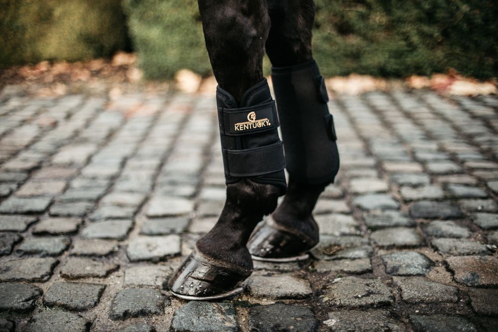 KENTUCKY® HORSEWEAR Arbeitsgamasche 3D Spacer vorne, schwarz