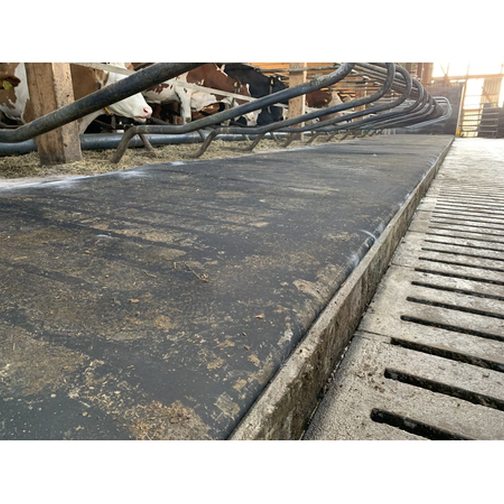 PATURA Kuhmatratze Latex Breite: 1,00 m; Tiefe: 1,70 m 