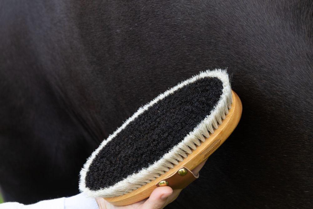 KENTUCKY® GROOMING DELUXE Overall Brush Body Shine