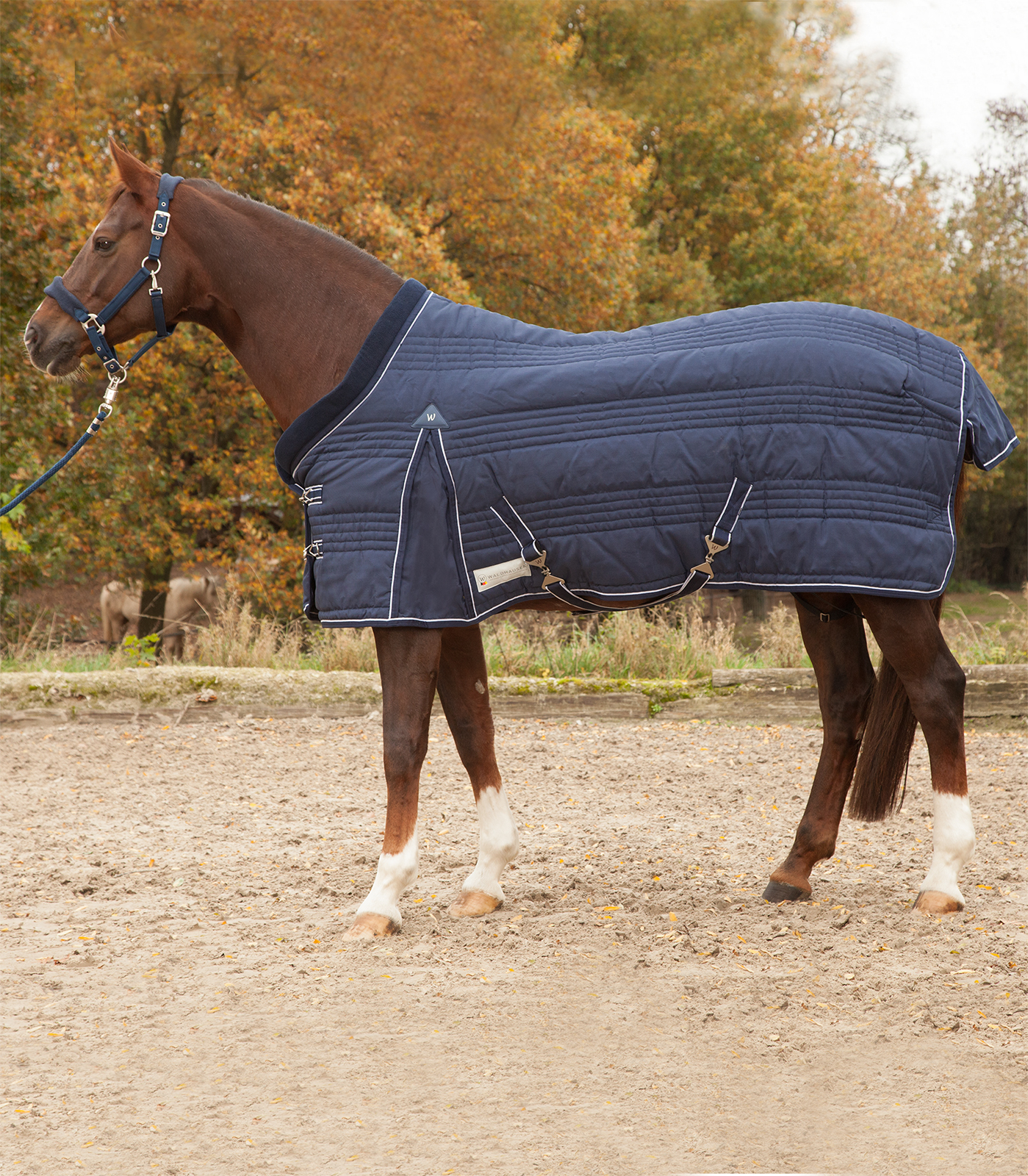 Comfort Stalldecke, 200g
