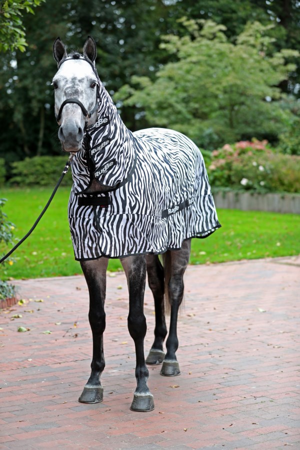 Ein Schimmel steht frontal und trägt die Kerbl Fliegendecke RugBe Zebra mit Halsteil in schwarz-weißem Muster.