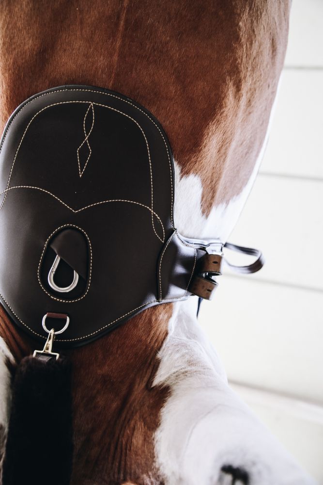 KENTUCKY® HORSEWEAR Stollen-Kurzgurt 