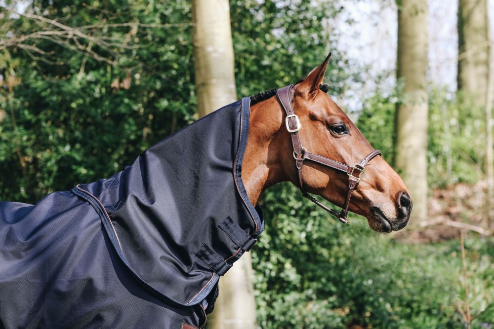KENTUCKY® HORSEWEAR Halsteil All Weather Waterproof Pro 0 g