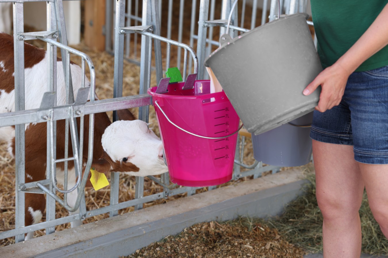 KERBL Auswurfsicherung Bucket Guard