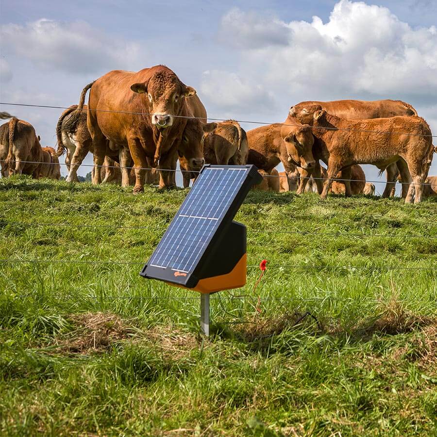 GALLAGHER S200 Solar-Weidezaungerät mit Akku (2x 12 V - 7,2 Ah)