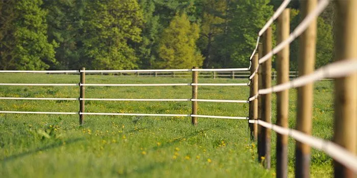 Weidezaun auf einer Weide