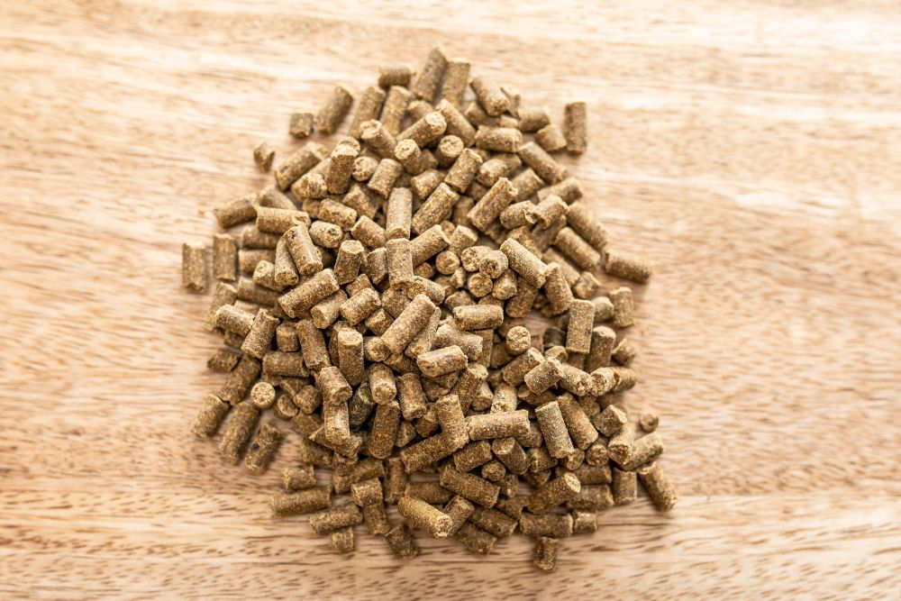 ST.HIPPOLYT® MAGNESIUM B12