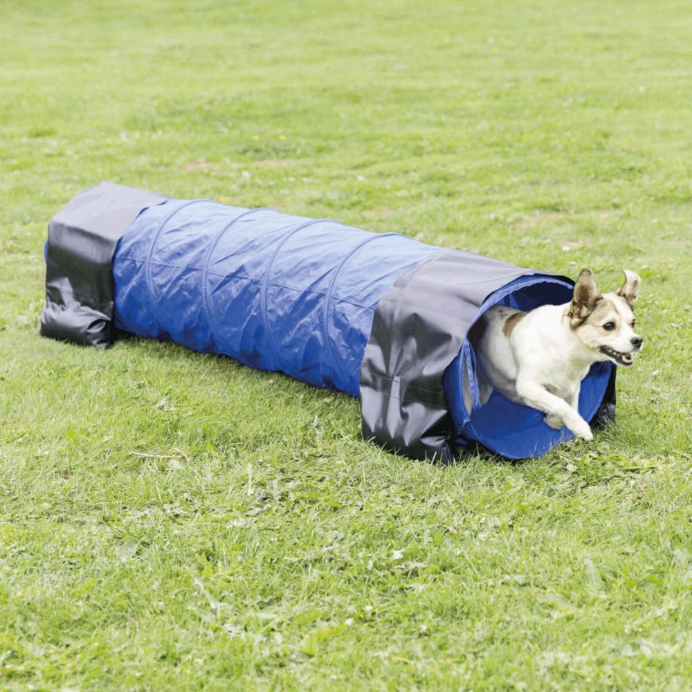 TRIXIE Agility Tunnel für kleine Hunde & Welpen, blau