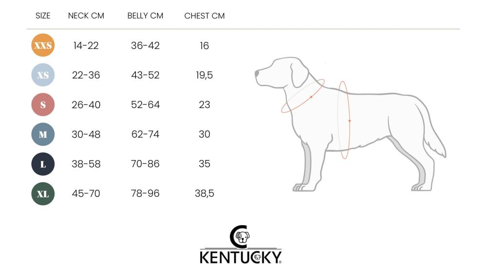 KENTUCKY® DOGWEAR Hundegeschirr Aktiv reflektierend, silber