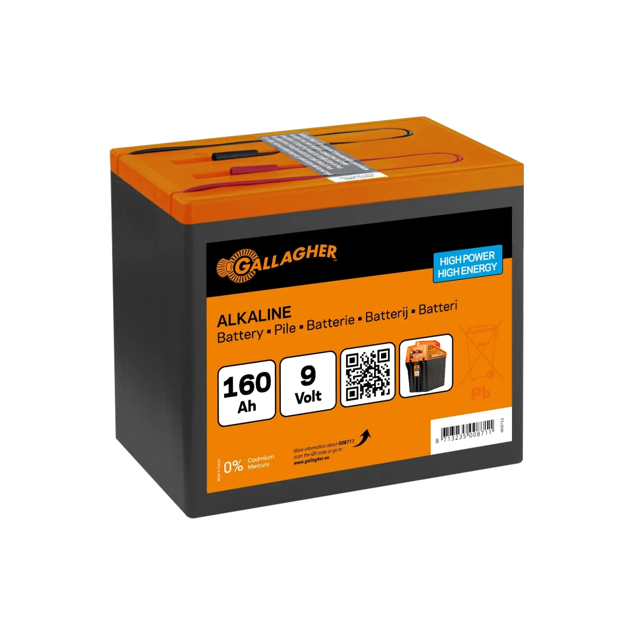 GALLAGHER Powerpack Batterie (9 V, 160 Ah) 