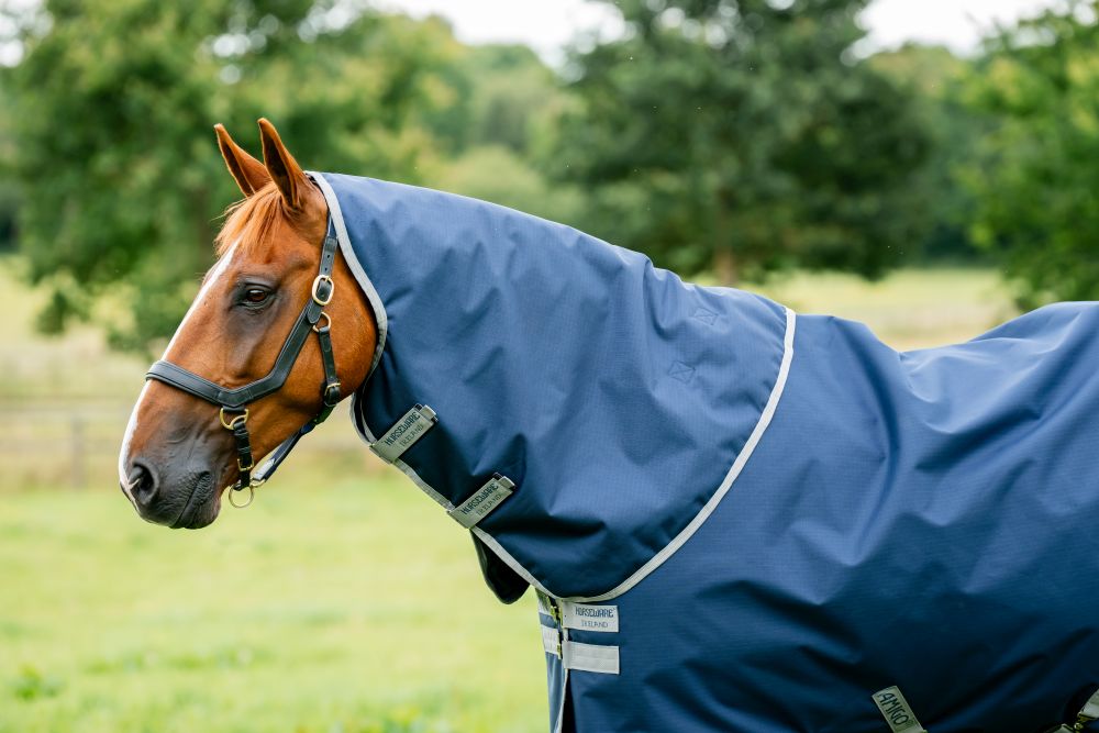 HORSEWARE® Amigo® Bravo 12 Plus, 0 g, navy/titanium
